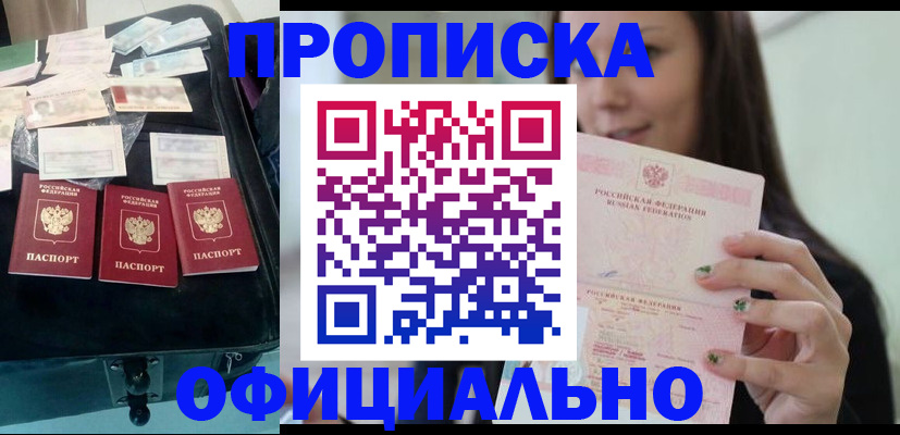 прописка законно в Химках